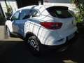 Renault Kadjar 1.7dCi Blue Zen 4x4 110kW Blanco - thumbnail 5