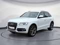 Audi Q5 2.0 TFSI quattro S line selection Navi EPHplu Bianco - thumbnail 2