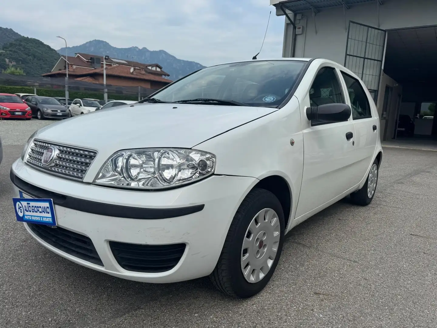 Fiat Punto 1.2 5P. PRONTA ALL'USO Wit - 1