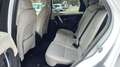 Land Rover Discovery Sport Discovery Sport 2.0 si4 mhev HSE awd 200cv Bianco - thumbnail 9