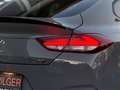 Hyundai i30 Fastback N Performance Pano*Kam*Lhz*Shz*1.Hd Grau - thumbnail 30