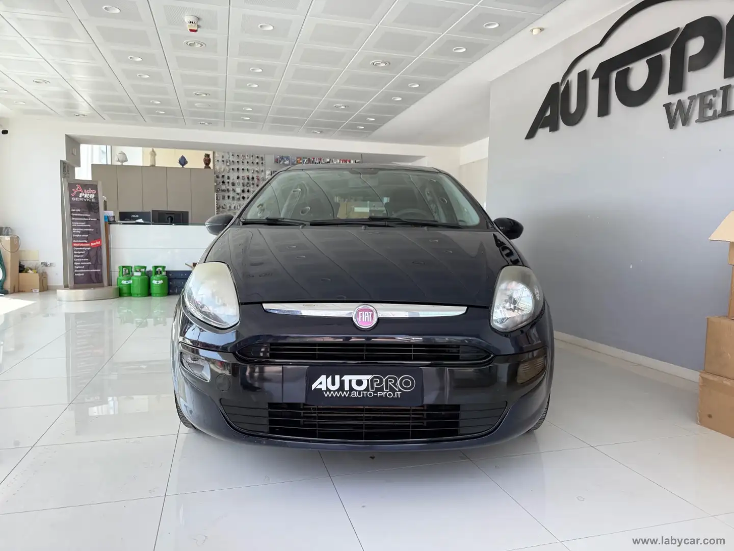 Fiat Punto Evo 1.3 Mjt 75 CV 5p. S&S Active Negro - 1