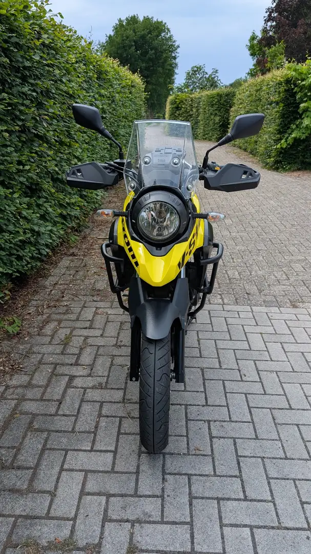 Suzuki V-Strom 250 Geel - 2