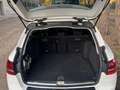 Mercedes-Benz C 200 Estate 200CDI BE 7G Blanco - thumbnail 15