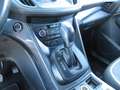 Ford Kuga 2.0 TDCi Vignale AWD 180 PowerShift Bianco - thumbnail 11