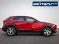 Mazda CX-30 Mazda CX-30 2025 2.5 e-SKYACTIV-G 140PS 6AT Exclus Rojo - thumbnail 8
