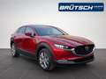 Mazda CX-30 Mazda CX-30 2025 2.5 e-SKYACTIV-G 140PS 6AT Exclus Rojo - thumbnail 2