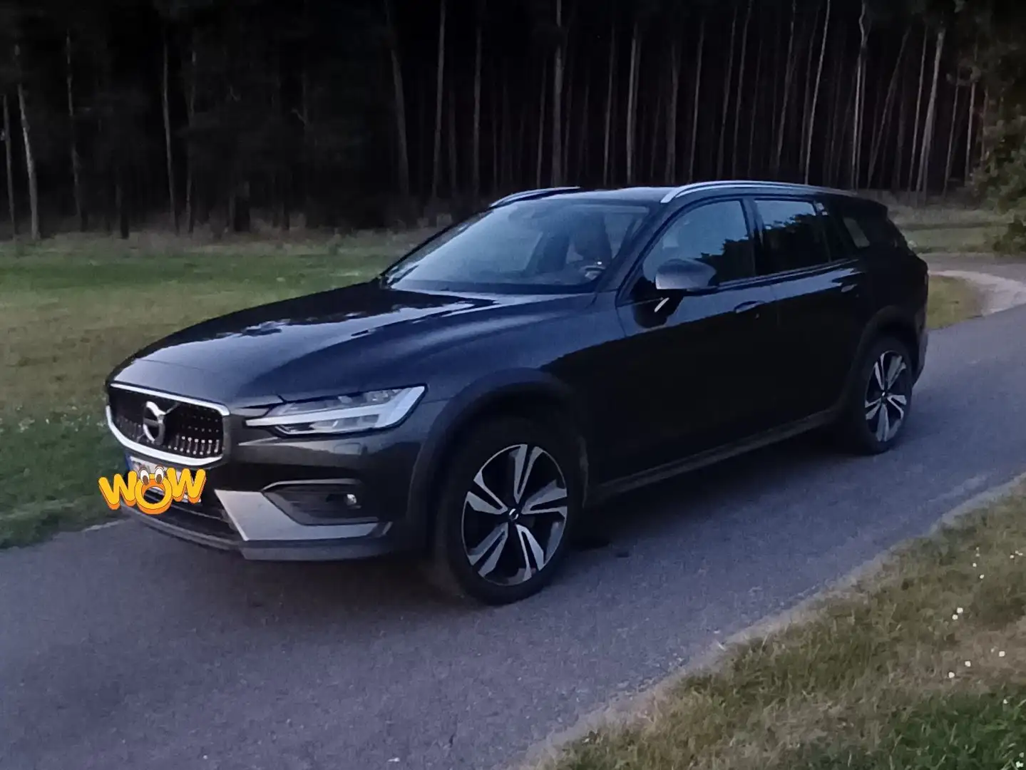 Volvo V60 Cross Country V60 Cross Country D4 AWD Geartronic Pro Grau - 1