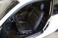 BMW 320 i*Xenon*Leder*PDC*SHZ*Steuerkette NEU! Blanc - thumbnail 12