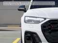 Audi SQ5 TDI quattro tiptronic Matrix-LED Navi Tempom Weiß - thumbnail 8