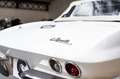 Corvette Stingray *1964 Série 0800* Weiß - thumbnail 13
