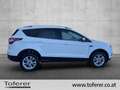 Ford Kuga 1,5 TDCi Titanium Start/Stop Weiß - thumbnail 4