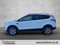 Ford Kuga 1,5 TDCi Titanium Start/Stop Weiß - thumbnail 3