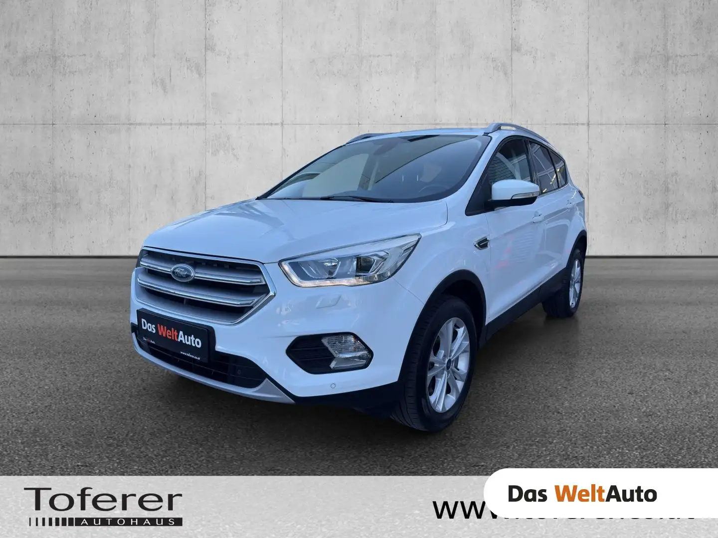 Ford Kuga 1,5 TDCi Titanium Start/Stop Weiß - 1