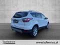 Ford Kuga 1,5 TDCi Titanium Start/Stop Weiß - thumbnail 5