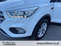 Ford Kuga 1,5 TDCi Titanium Start/Stop Weiß - thumbnail 7