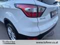 Ford Kuga 1,5 TDCi Titanium Start/Stop Weiß - thumbnail 8