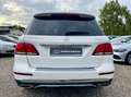 Mercedes-Benz GLE 250 GLE250 D 4MATIC 9G-T*AMBIENTE*LEDER*MEMORY*360° Blanc - thumbnail 5