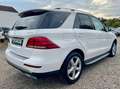 Mercedes-Benz GLE 250 GLE250 D 4MATIC 9G-T*AMBIENTE*LEDER*MEMORY*360° Blanc - thumbnail 6