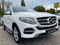Mercedes-Benz GLE 250 GLE250 D 4MATIC 9G-T*AMBIENTE*LEDER*MEMORY*360° Blanc - thumbnail 3