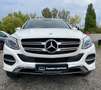 Mercedes-Benz GLE 250 GLE250 D 4MATIC 9G-T*AMBIENTE*LEDER*MEMORY*360° Blanc - thumbnail 2