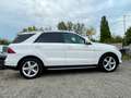 Mercedes-Benz GLE 250 GLE250 D 4MATIC 9G-T*AMBIENTE*LEDER*MEMORY*360° Blanc - thumbnail 8