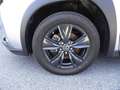 Lexus UX 250h Hybrid Urban Grigio - thumbnail 8