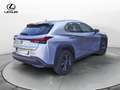 Lexus UX 250h Hybrid Urban Grigio - thumbnail 5