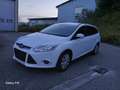 Ford Focus Turnier Hu.Neu ZAHNRIEMEN+SERVICE 1 HAND PDC TEMP Blanco - thumbnail 1