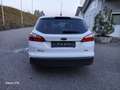 Ford Focus Turnier Hu.Neu ZAHNRIEMEN+SERVICE 1 HAND PDC TEMP Blanco - thumbnail 9