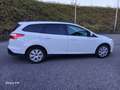 Ford Focus Turnier Hu.Neu ZAHNRIEMEN+SERVICE 1 HAND PDC TEMP Blanco - thumbnail 12