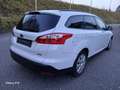 Ford Focus Turnier Hu.Neu ZAHNRIEMEN+SERVICE 1 HAND PDC TEMP Blanco - thumbnail 11