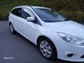 Ford Focus Turnier Hu.Neu ZAHNRIEMEN+SERVICE 1 HAND PDC TEMP Blanco - thumbnail 15