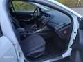 Ford Focus Turnier Hu.Neu ZAHNRIEMEN+SERVICE 1 HAND PDC TEMP Blanco - thumbnail 14