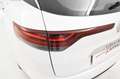 Renault Megane Sporter 1.5 blue dci Business 115cv edc Blanc - thumbnail 21