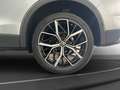 Volkswagen Tiguan 2.0 TDI 4M Elegance AHK Matrix LM 20" Nav Silber - thumbnail 14