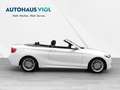 BMW Cabrio M-Sport, Automatik, LED, Navi Wit - thumbnail 5