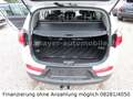 Kia Sportage Dream Team 2WD*Panorama*Navi*AHK*Euro6* Alb - thumbnail 14