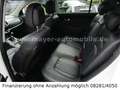 Kia Sportage Dream Team 2WD*Panorama*Navi*AHK*Euro6* Alb - thumbnail 13