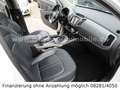 Kia Sportage Dream Team 2WD*Panorama*Navi*AHK*Euro6* Alb - thumbnail 15