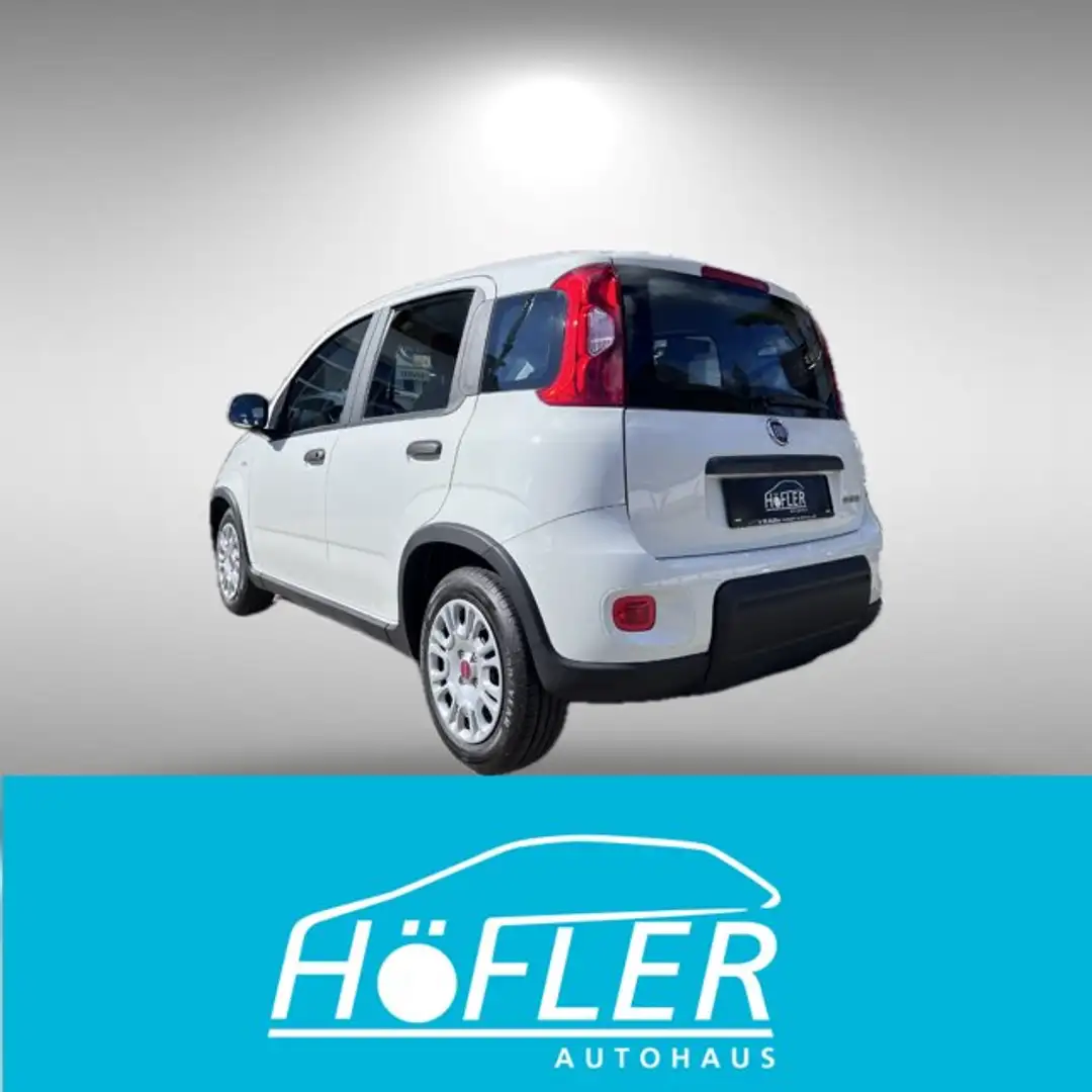 Fiat Panda Hybrid Blanc - 2