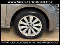 Volkswagen Polo Highline 1.0 TSI Kamera/Navi/LED/16 Highline Grau - thumbnail 12
