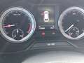 Skoda Octavia 4x4 Style TDI DSG Weiß - thumbnail 10