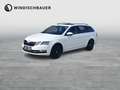 Skoda Octavia 4x4 Style TDI DSG Weiß - thumbnail 1