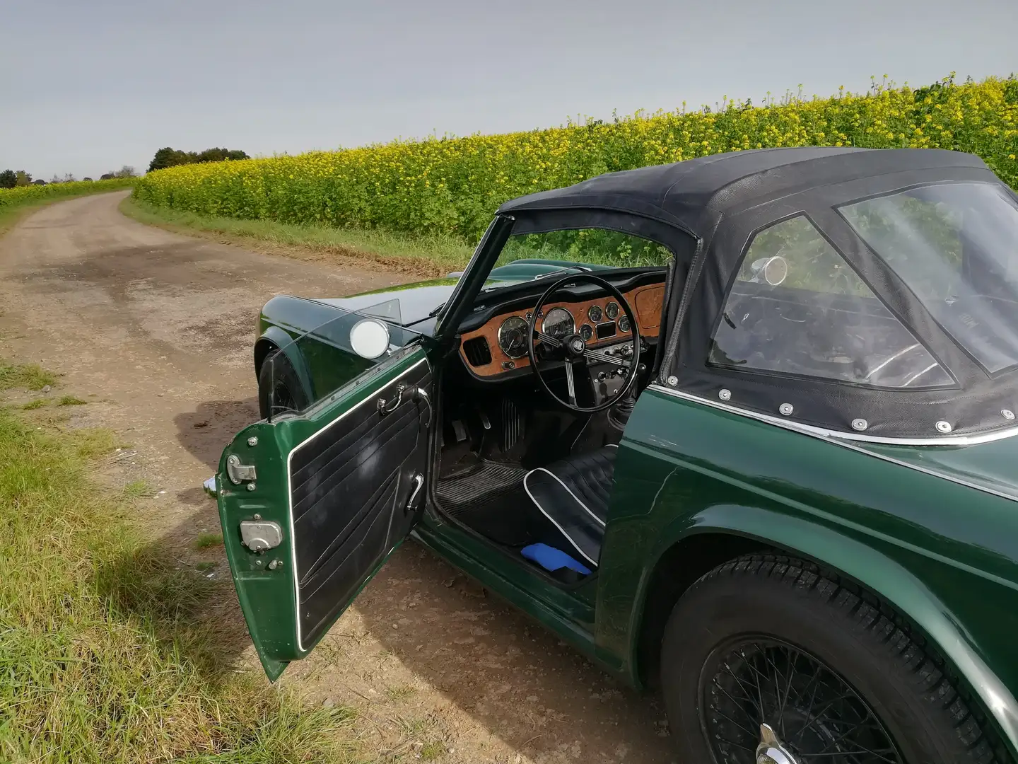 Triumph TR4 Verde - 1