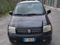 Fiat Panda Panda 1.2 Active natural power Nero - thumbnail 4