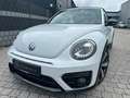 Volkswagen Beetle Cabriolet R-Line BMT/Start-Stopp*Xenon Weiß - thumbnail 1