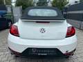 Volkswagen Beetle Cabriolet R-Line BMT/Start-Stopp*Xenon Weiß - thumbnail 5