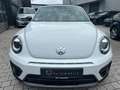Volkswagen Beetle Cabriolet R-Line BMT/Start-Stopp*Xenon Weiß - thumbnail 2