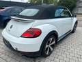 Volkswagen Beetle Cabriolet R-Line BMT/Start-Stopp*Xenon Weiß - thumbnail 4